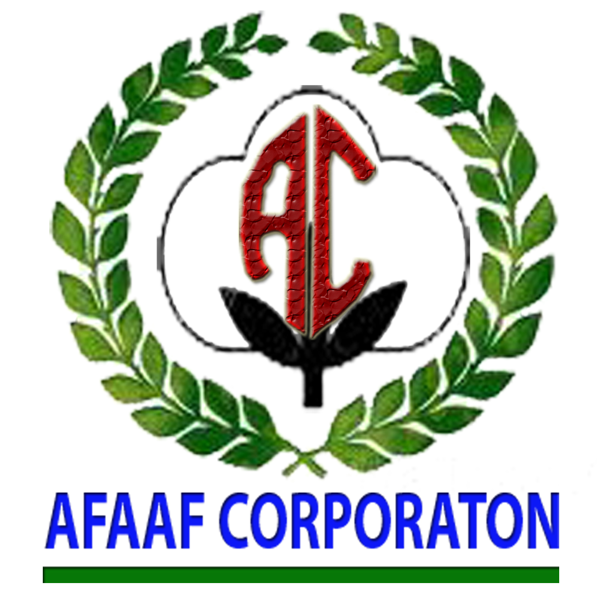 Afaaf Corporation Harnoli Mianwali